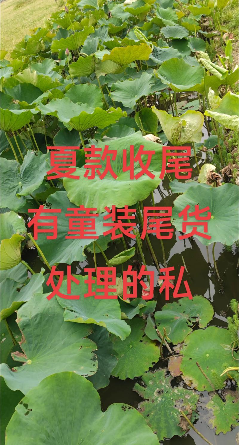 童装尾货